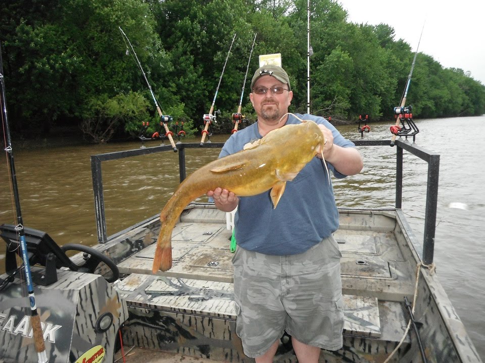 Flathead Catfish on the Susquehanna river 