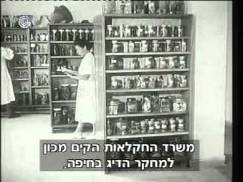 בשנת 1956 משרד החקלאות מציג את ענף הדיג החדש בישראל