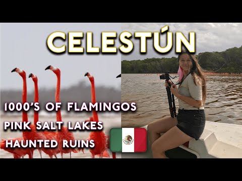 FlaminGO to Mexico! This small village is PARADISE! (Celestun, Yucatan Vlog)