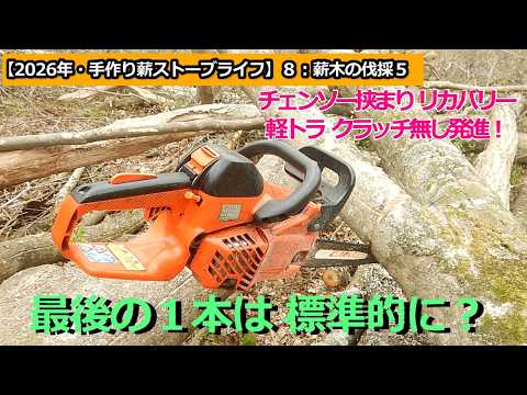 檜　杉　枝　薪　薪ストーブ　工作　DIY 引き取り限定 千葉 2026手作り薪ストーブライフ】8：薪木の伐採5：最後の1本 - YouTube