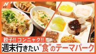 有名店の餃子食べ比べに無料のこんにゃくバイキング！お得に食べて遊べる“食”のテーマパーク｜TBS NEWS DIG