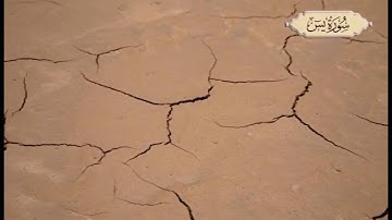 قرآن سوره یاسین زنده شدن مرده