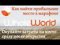 Как находить вкусные места в марафоне Whole World | Окупи место в Whole World сразу после открытия