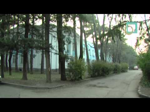 სადაზღვევო პოლისი