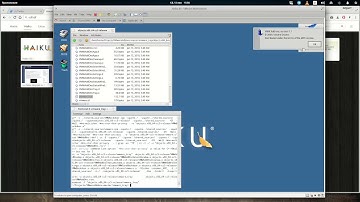 VMwareAddons for Haiku 64