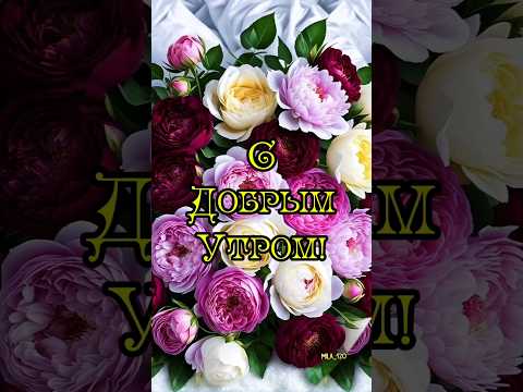 #доброеутро #доброе #доброеутречкохорошегодня #сдобрымутром #утренняя