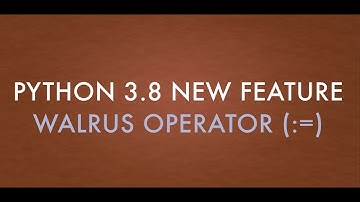 Python 3.8 New Feature  Walrus Operator 