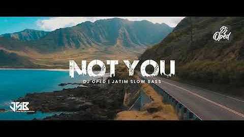 DJ Not You Slow Remix - Alan Walker ft Emma Steinbakken - Not You ( Remix )