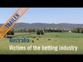 Trailer: Australia: Victims of the Betting Industry - YouTube