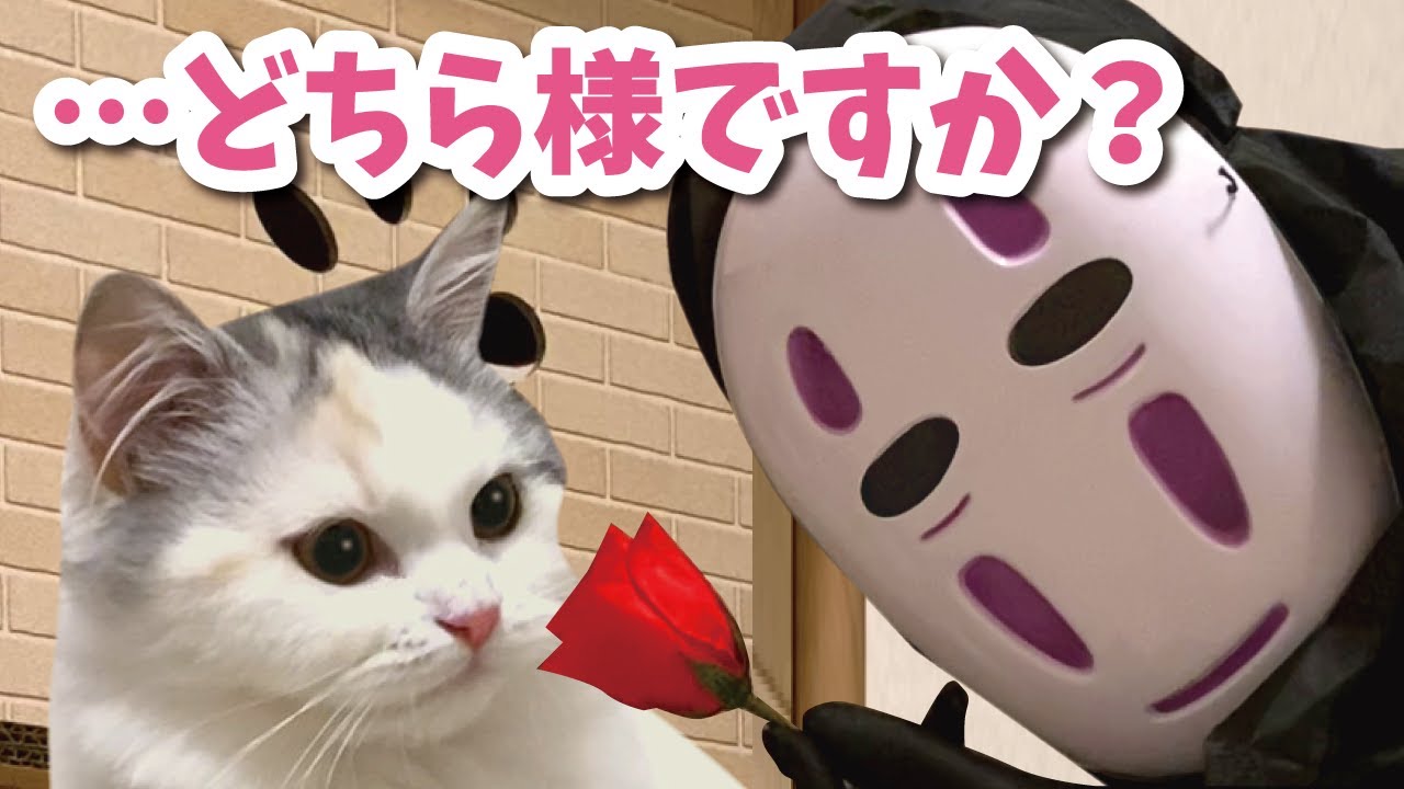 A cat is shocked when a No-Face appears and moves in without