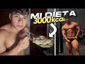DIETA BULK | PREP 2026