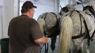 Harness Lesson 4
