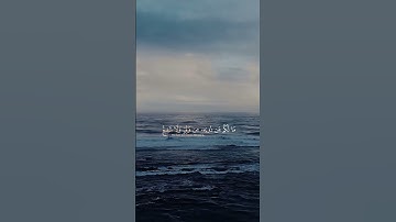 تلاوه هادئة 🎧#قران_كريم #راحة_نفسية #تلاوة_هادئة #quran #islamicvideo