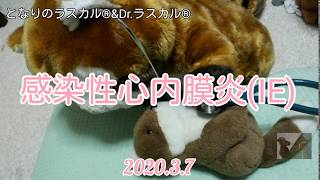 2020年3[ツイキャス] 「感染性心内膜炎（IE）」 (2020.03.07)月9日