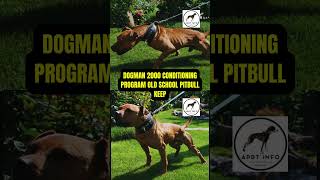 Apbt Game Dog Keep Secrets Behind Pitbull Conditioning Techniques