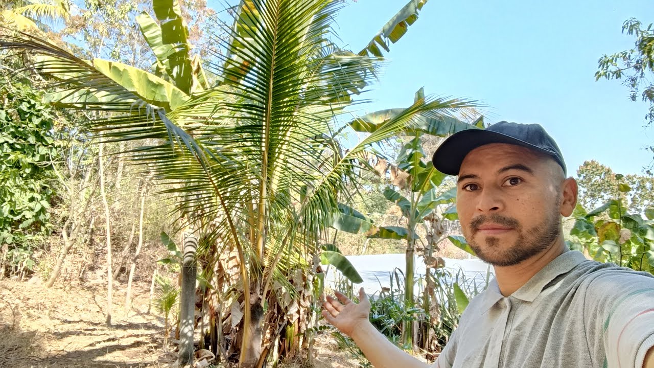Vine A TRABAJAR en mi TERRENO🇸🇻