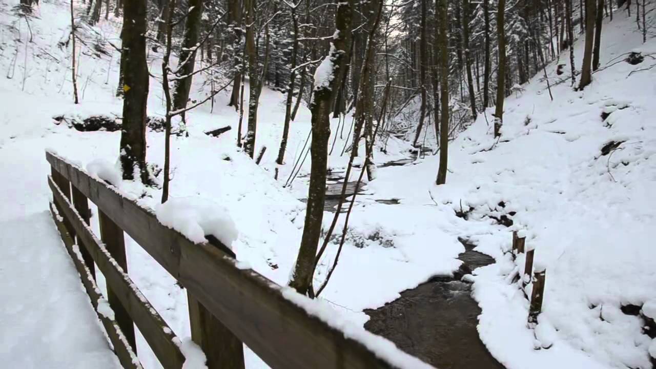 psalm-84-1-8-kontemplation-youtube