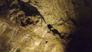 Peak Cavern tour part six
