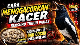 THIS MUSHROOMS ARE NOT SUITABLE FOR CRICKETS!! HOW TO MESS WITH A MUSHROOMS WITH A HOT BODY TEMPE...