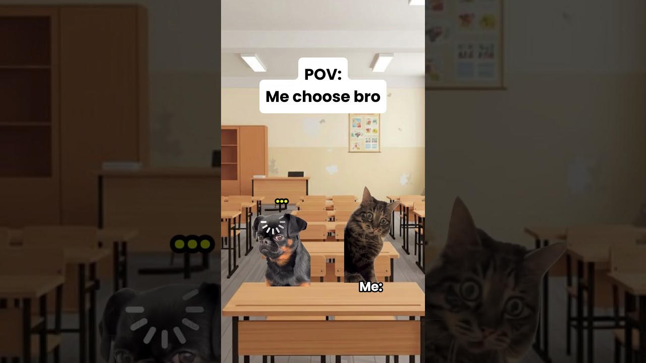 How you chose your best Friend? 😂 