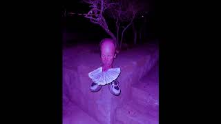 [FREE] LITHE X DARK PLUGG X YEAT TYPE BEAT