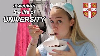 a week in the life of uni