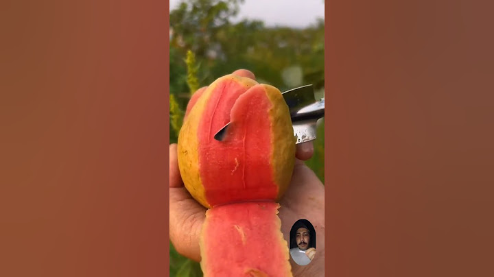 اجمل تين شوكي ستراها  في حياتك. مش ممكن بجد.😋