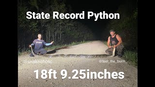 State Record Python 18ft 9.25inches Full Hunt | Snakeaholic Profile