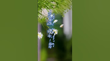 Thumbnail of 問風問雨問問你🎵 #翻唱 #laguemasmandarin90an #抖音 #翻唱 #抖音 #新歌更新 #音樂 #抒情小曲集 #音乐 #大陸歌 #分享 #必听热门歌曲#song #music