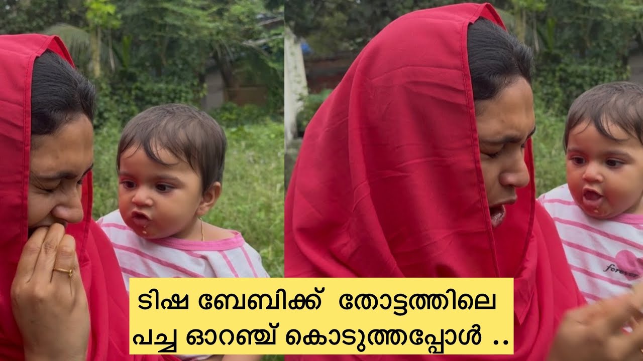 ടിഷ ബേബിക്ക് നമ്മുടെ തോട്ടത്തിലെ പച്ച ഓറഞ്ച് കൊടുത്തപ്പോൾ ..😅😅 #familyvlog  #couples  #garden 