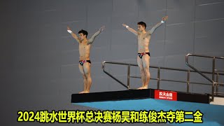 9个满分！杨昊和练俊杰上演完美一跳夺金牌，连陈若琳都激动不已【男子双人10米跳台】