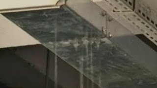 Brazil World Cup 2014: Part of Manaus airport's roof collapses under heavy rain screenshot 4
