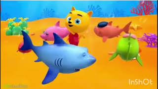 Yellow Cat Baby Shark Dance Sing And Song