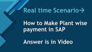 SAP | HOW TO CREATE PLANTWISE PAYMENT IN SAP | SOLUTION FOR PLANT WISE PAYMENT | F110 | SHD0 | FV60 screenshot 3