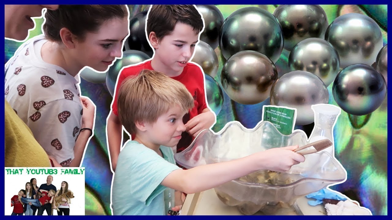 Finding Real Pearls In Oysters! Visiting Pearl Harbor and Paradise Cove Luau / That YouTub3 Family sardines price