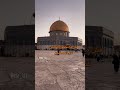  فلسطين  تصميم نابلس القدس