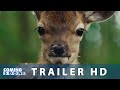 BAMBI (2025) Trailer del Documentario di Michel Fessler.