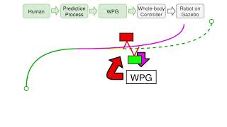 Human Trajectory Prediction Model and its Coupling with a Walking Pattern Generator for TALOS Profile