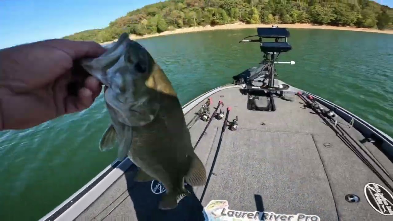 Dale Hollow doesn’t disappoint even on slow days! October 4th Bass Fishing