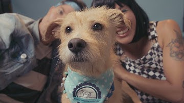 Matt and Kim - Money - Official Music Video