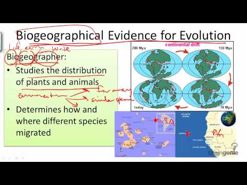 Video: Biogeografia sprijină evoluția?