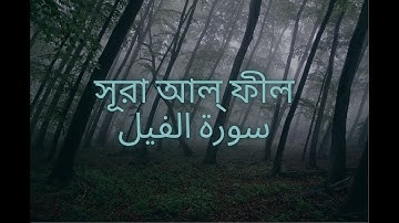 সূরা আল্‌ ফীল | سورة الفيل | surah Al feel | best of quran telawat | alamin official