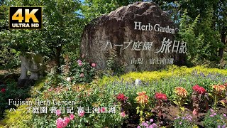 ミュージシャン HERB GARDEN mqdefault.jpg