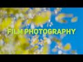 Film Photography, Through the Lens