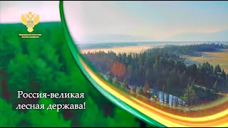 🌲🇷🇺 Леса России: Зеленое Наследие, Переданное Нам От Предков! Floresta - Tesouro Nacional Da Rússia!