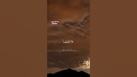 ( ووصينا الإنسان بوالديه إحسانا ) القارئ إسلام صبحي  _ أرح سمعك #قرآن 🌿🎧