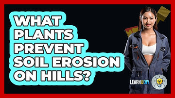 What Plants Prevent Soil Erosion On Hills? - LearnToDIY360.com