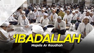 Majelis Ar Raudhah - Ibadallah Rijalallah ( Lirik dan Terjemah )