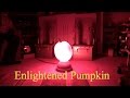 Enlightened Pumpkin