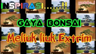 Inspirasi ‼️ Gaya bonsai terbaik dan termahal dengan gaya meliuk_liuk extrim🙏🙏 @muinmlolohart